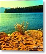 Sunrise At Daisy Lake Metal Print