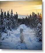 Sunrise Hike Metal Print