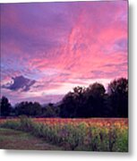 Sunrise In The South Metal Print