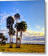 Sunrise Sentinels Metal Print