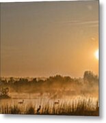 Sunrise With The Geese Metal Print