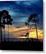 Sunset Behind The Trees Metal Print
