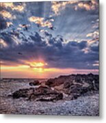 Sunset Bird Metal Print