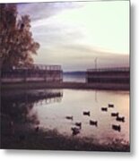 #sunset #ducks #lake #landscape Metal Print