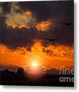 Sunset Fly By Metal Print