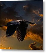 Sunset Heron Metal Print