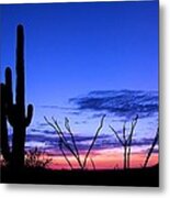 Sunset In Saguaro National Park Metal Print