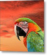 Sunset In The Tropics Metal Print