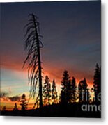 Sunset In Yosemite Metal Print