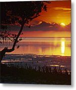 Sunset Over Annes Beach Florida Keys Metal Print