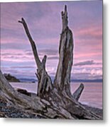 Sunset Over The Salish Sea Metal Print