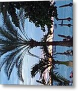 Sunset Palm Metal Print