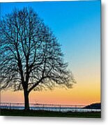 Sunset Tree Metal Print