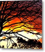 Sunset Tree Silhouette Metal Print