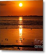 Sunset With The Birds Photo Metal Print