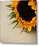 Sunshine Metal Print