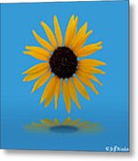 Sunshine Metal Print