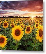 Sunshine Metal Print