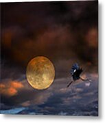 Super Moon 2013 Metal Print