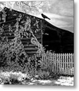Surreal Black And White Infrared Gothic Nature Barn Landscape With Black Raven Metal Print