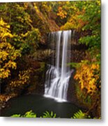 Surrounded By Fall Metal Print