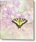 Swallowtail Butterfly Metal Print