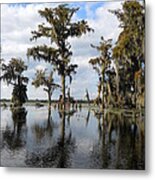 Swamp Metal Print