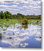 Swamp Cloud Reflections Metal Print