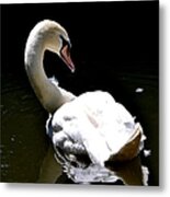 Swan Lake Metal Print