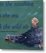 Swim The Sea Metal Print