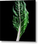 Swiss Chard Metal Print