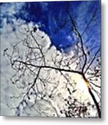 Take It In, Day By Day Metal Print