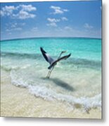 Take-off Metal Print