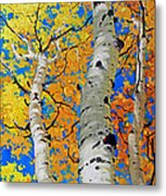 Tall Aspen Trees Metal Print