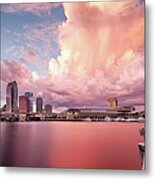 Tampa Bay City Metal Print