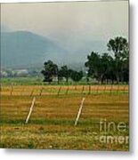 Taos Fields Metal Print