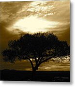 Taos Tree Metal Print