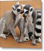 Telling Secrets Metal Print