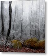 Tennessee Mountain Frost Metal Print