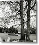 Terrace And Lawn Of Hickory Hill Metal Print
