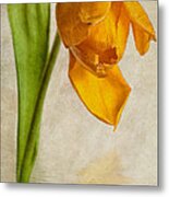 Textured Tulip Metal Print