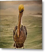 That's Mr. Pelican To You Metal Print