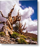 The Ancient Ones Metal Print