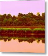 The Ashley River Metal Print