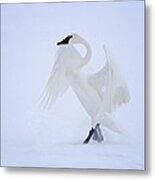 The Ballerina Metal Print