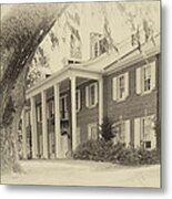 The Baruch House Metal Print
