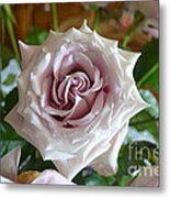 The Beauty Of A Flower Metal Print