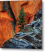 The Beauty Of Sandstone Zion Metal Print