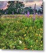 The Beauty Of The Blue Ridge Parkway Metal Print