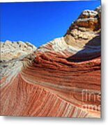 The Brilliance Of Nature 11 Metal Print